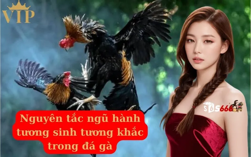 Nguyên tắc ngũ hành tương sinh tương khắc trong đá gà