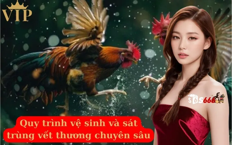 Quy trình vệ sinh và sát trùng vết thương chuyên sâu