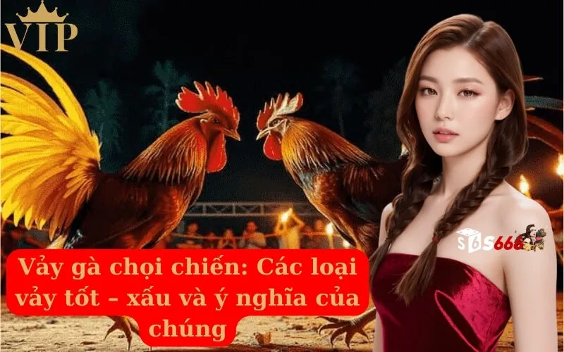 Vảy gà chọi chiến Các loại vảy tốt – xấu và ý nghĩa của chúng