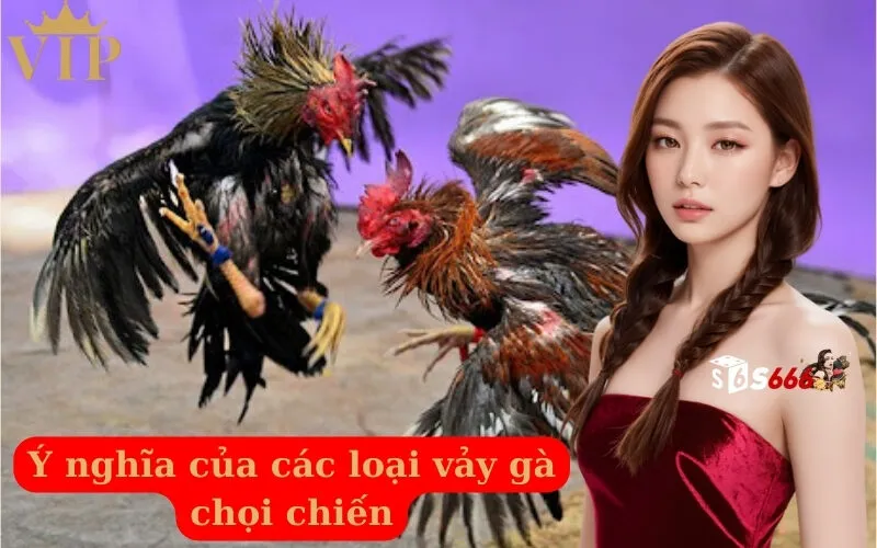 Ý nghĩa của các loại vảy gà chọi chiến